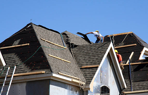 Best Metal Roofing Contractor  in Siloam Springs, AR