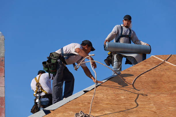 Best Emergency Roof Repair  in Siloam Springs, AR