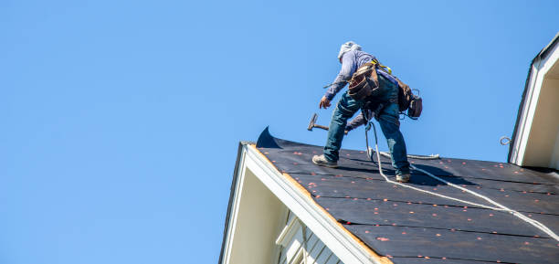 Best Roof Gutter Cleaning  in Siloam Springs, AR